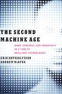 The Second Machine Age: Work, Progress, and Prosperity in a Time of Brilliant Technologies