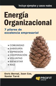 Energ&iacute;a organizacional