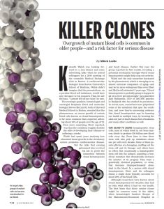 Killer Clones