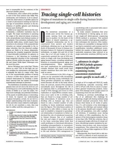 Tracing Single-Cell Histories