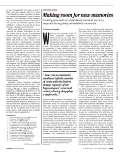 Making Room for New Memories