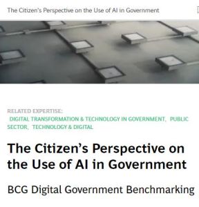 The Citizen&rsquo;s Perspective on the Use of AI in Government