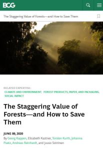 The Staggering Value of Forests &ndash; and How to Save Them