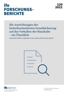 Die Auswirkungen der bedarfsorientierten Grundsicherung auf das Verhalten der Haushalte – ein Überblick