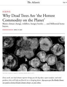 Why Dead Trees Are &lsquo;the Hottest Commodity on the Planet&rsquo;
