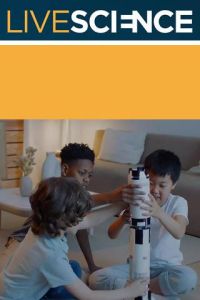 Why Are Humans So Curious?