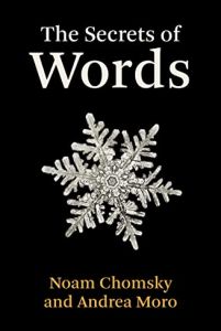 The Secrets of Words